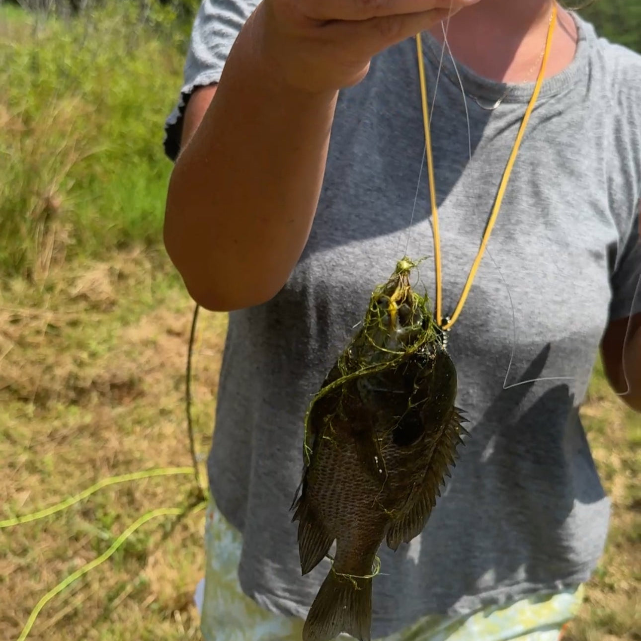 Fly Fishing Fundamentals and Wine Tasting at Southern Revere Cellars: Saturday, Nov 8, 10:30AM-12:30PM