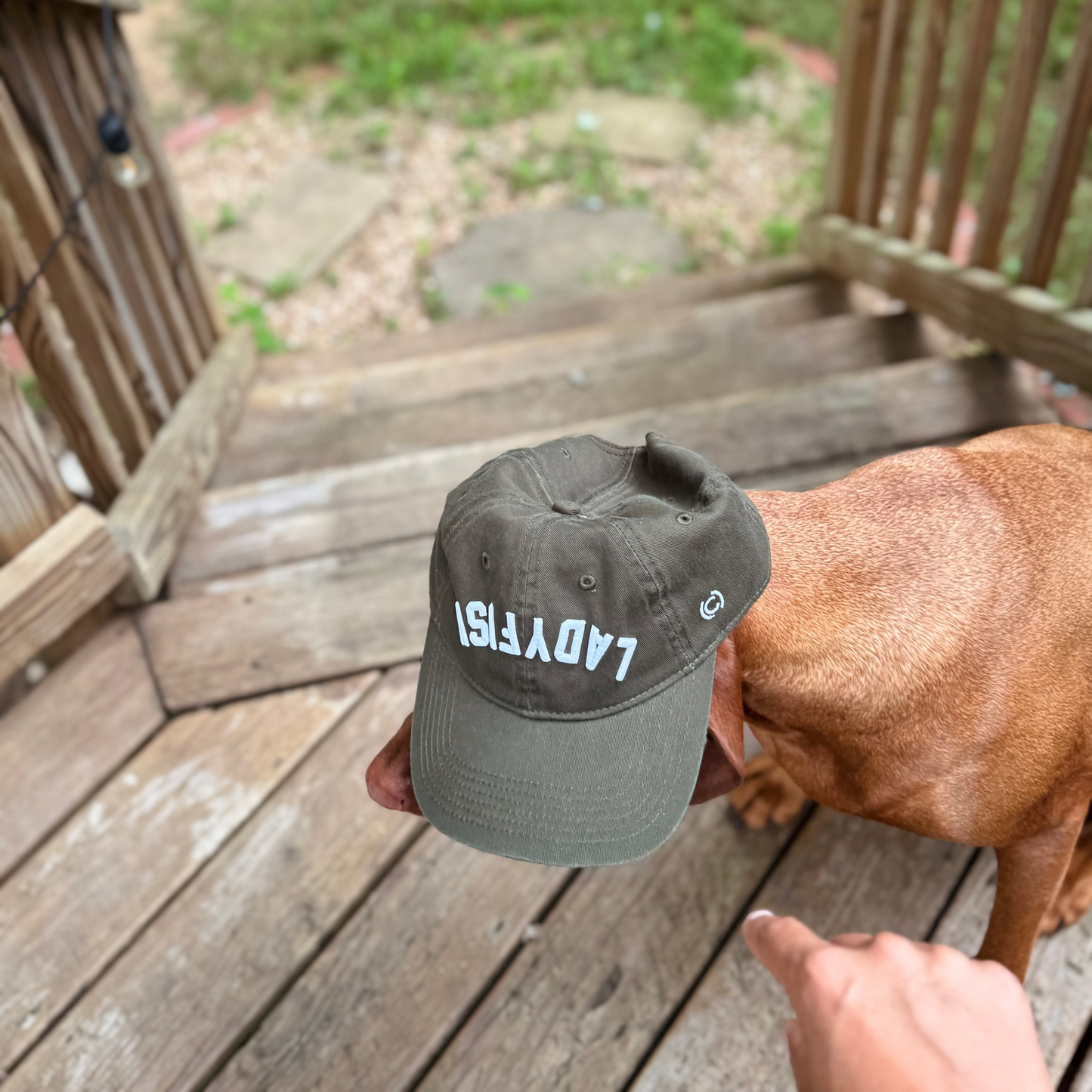 The Backcast Cap