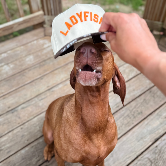 The Field and Fly Hat